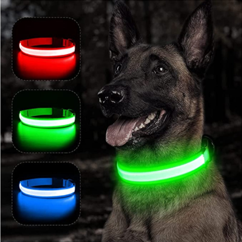 Coleira de Luz Led para Pets Recarregável